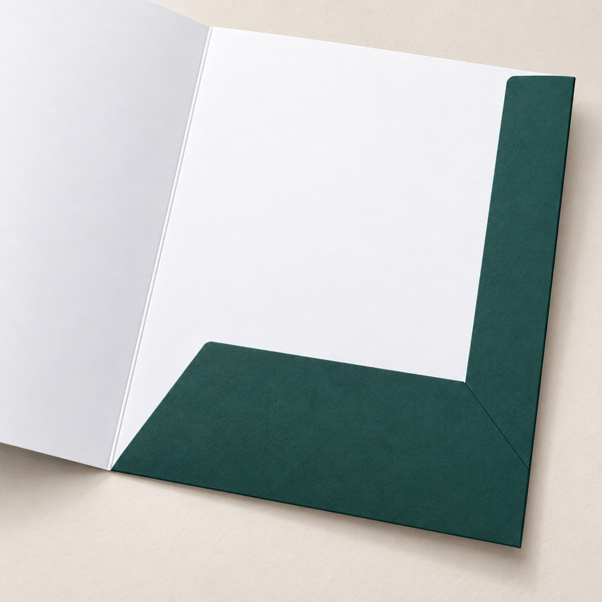 Interlocking Presentation Folders print and material detail